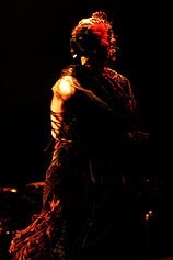 Bild vergr&ouml;ssern