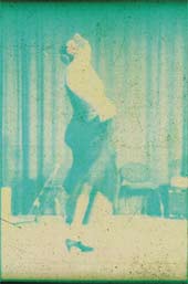 Bild vergr&ouml;ssern